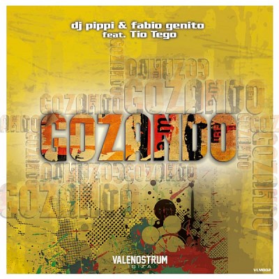 Dj Pippi & Fabio Genito feat Tio Tego Gozando.